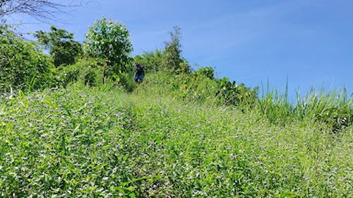 Bukit Katunun